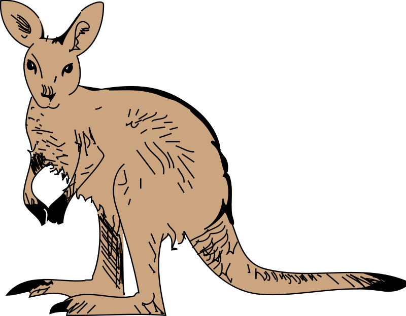 Free Kangaroo Jumping Cliparts, Download Free Kangaroo Jumping Cliparts