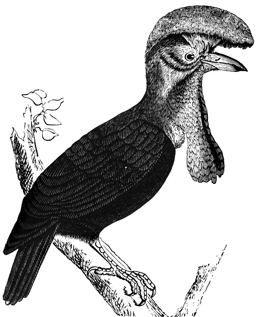 Bird Umbrella Cliparts Adding a Playful and Whimsical Touch to Your