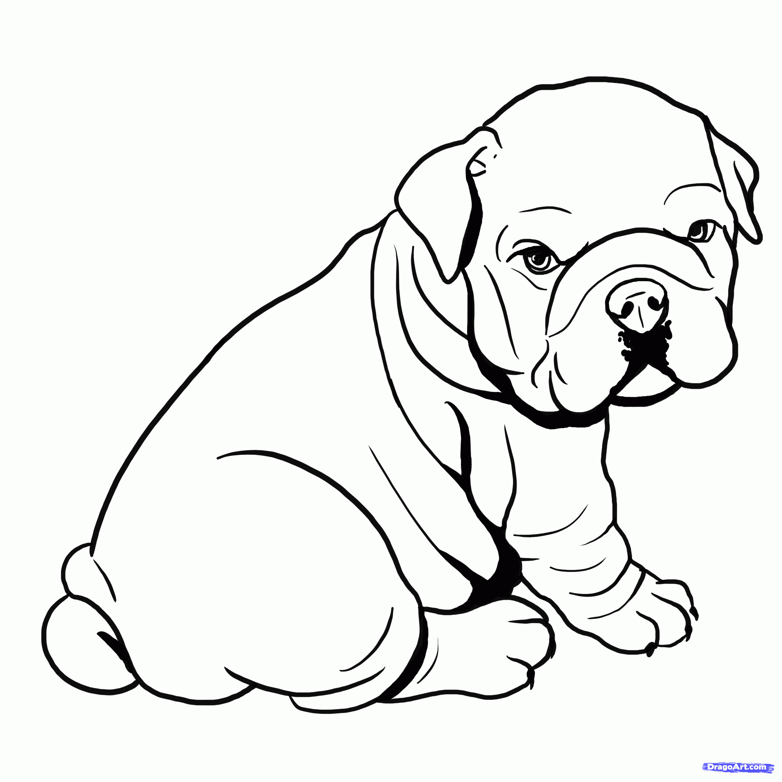 pitbull coloring pages Clip Art Library