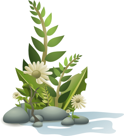 Free Free Plant Clipart, Download Free Free Plant Clipart png images