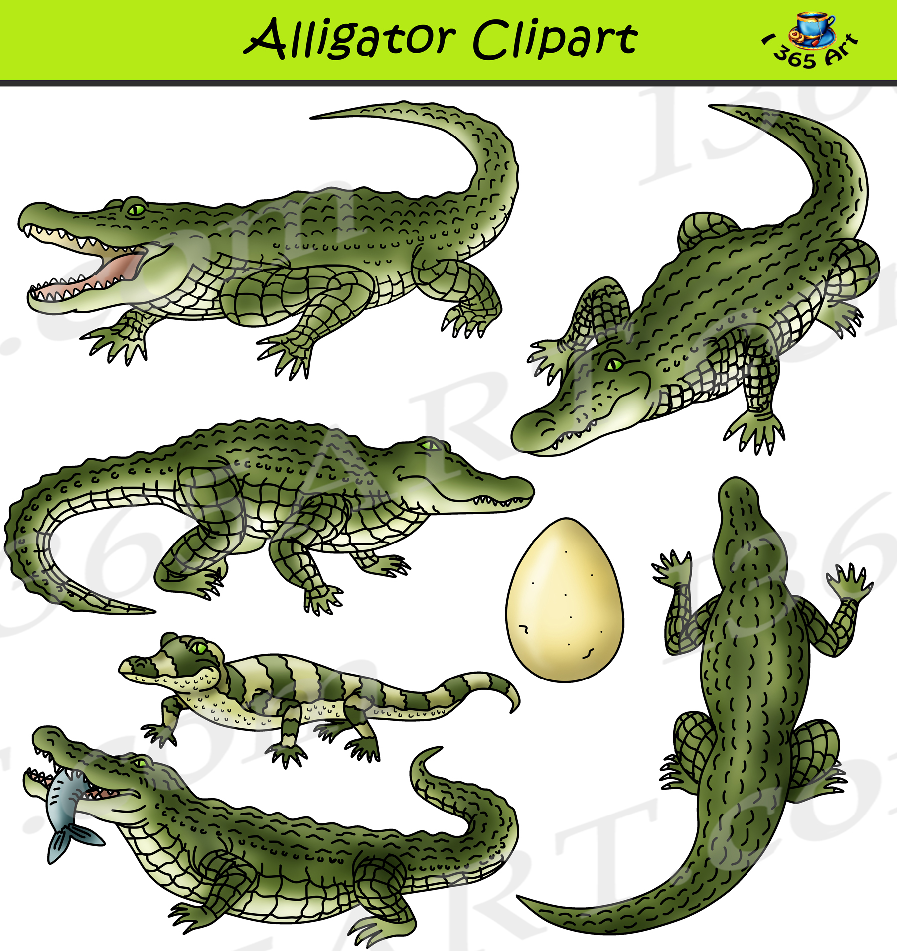 Alligator Clipart Set Graphics Download Clipart 4 School