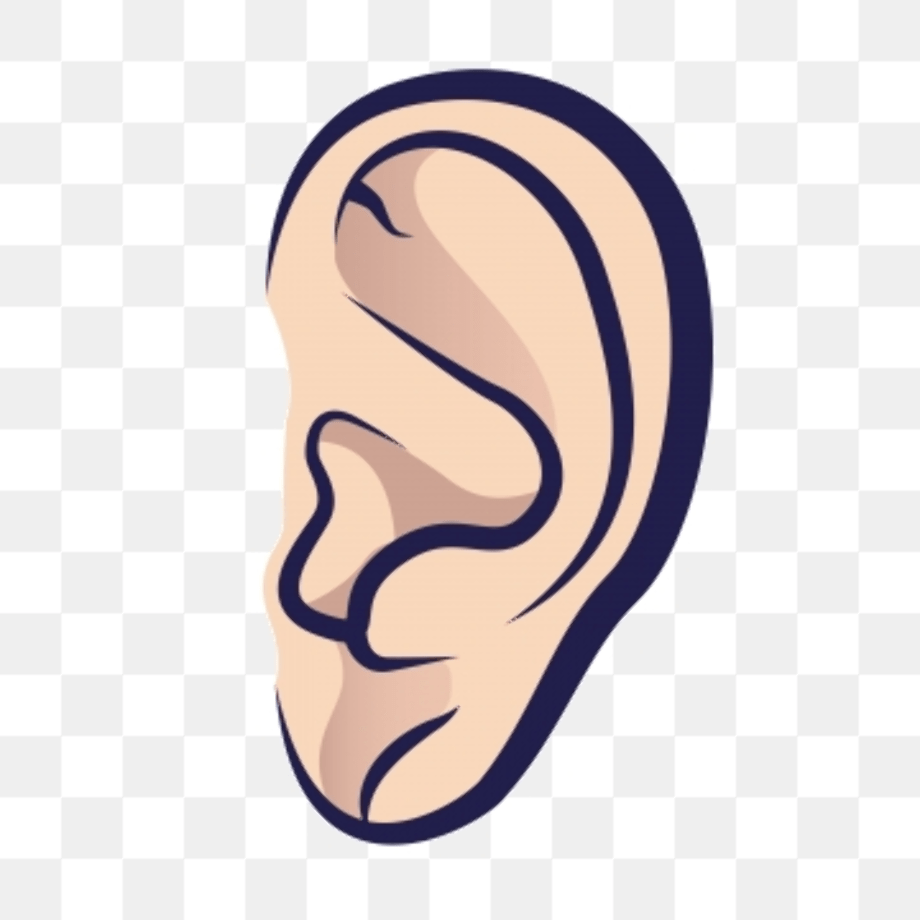 Download High Quality ear clipart vector Transparent PNG Images Art