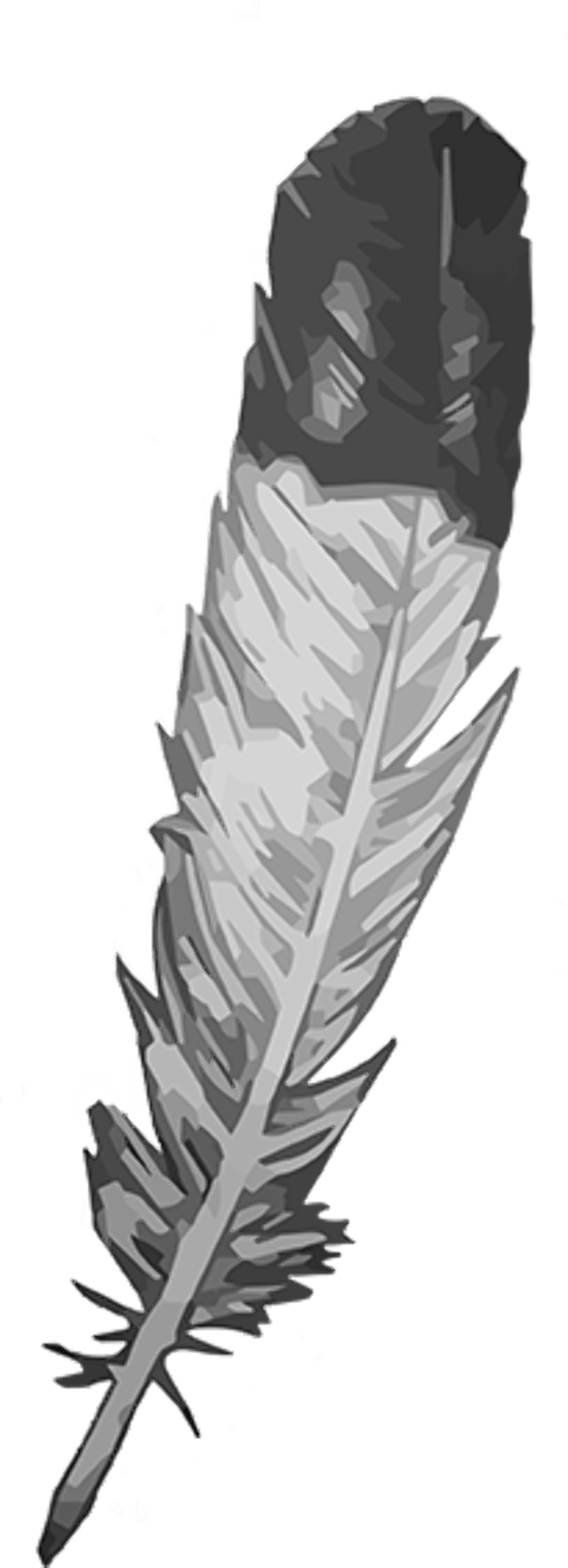 Download High Quality feather clipart eagle Transparent PNG Images