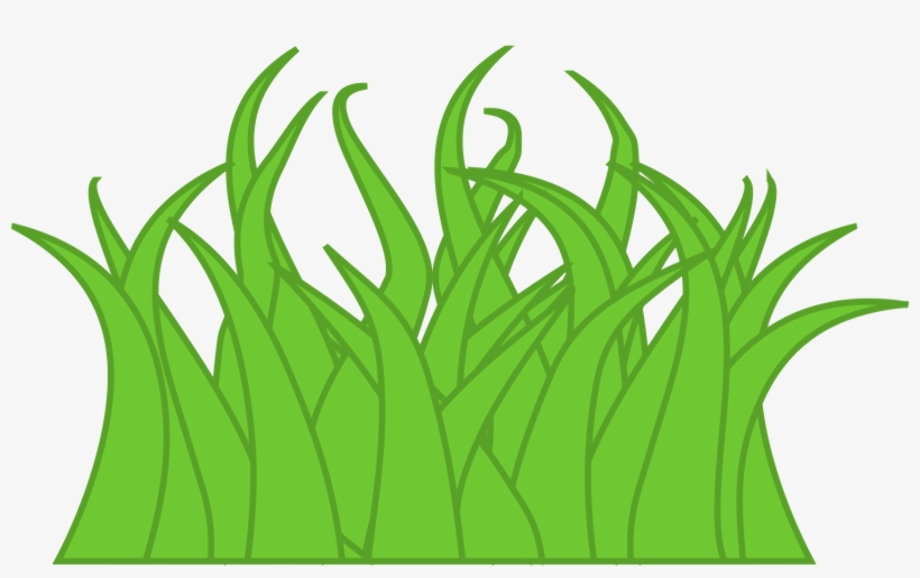 Download High Quality grass clipart drawing Transparent PNG Images Art Prim clip arts 2019