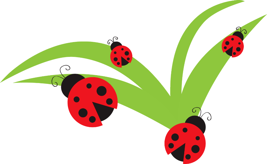 Download High Quality ladybug clipart leaf Transparent PNG Images Art