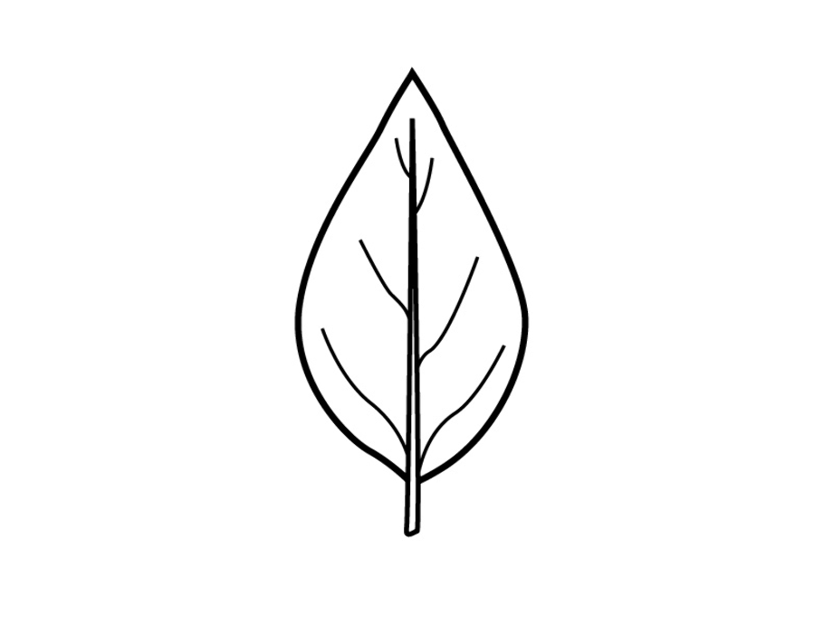 Download High Quality leaf clipart shape Transparent PNG Images Art Prim clip arts 2019