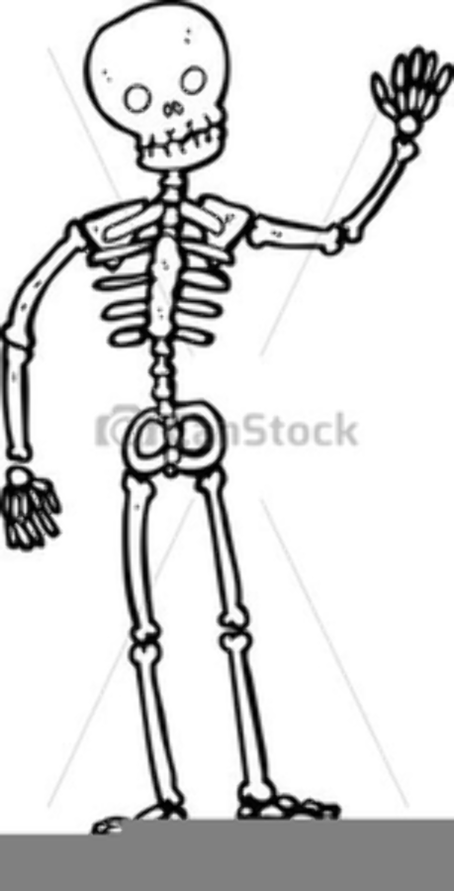 Download High Quality skeleton clipart simple Transparent PNG Images