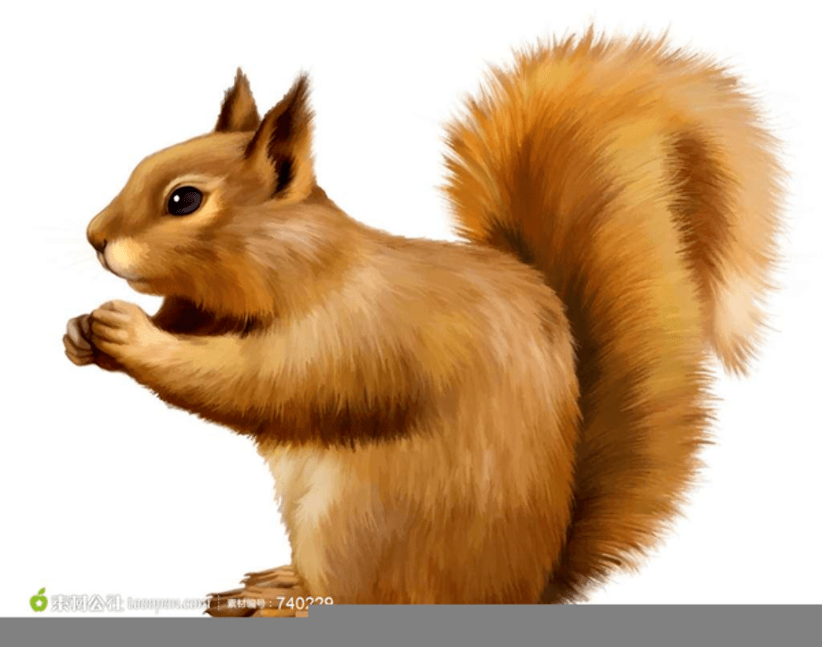 Download High Quality squirrel clipart small Transparent PNG Images