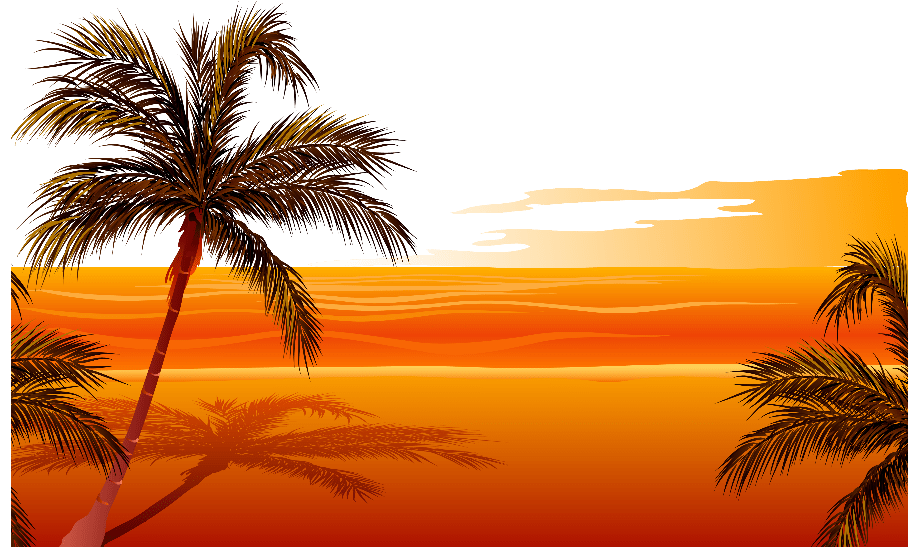 Vector files: How to create, edit and open them Adobe