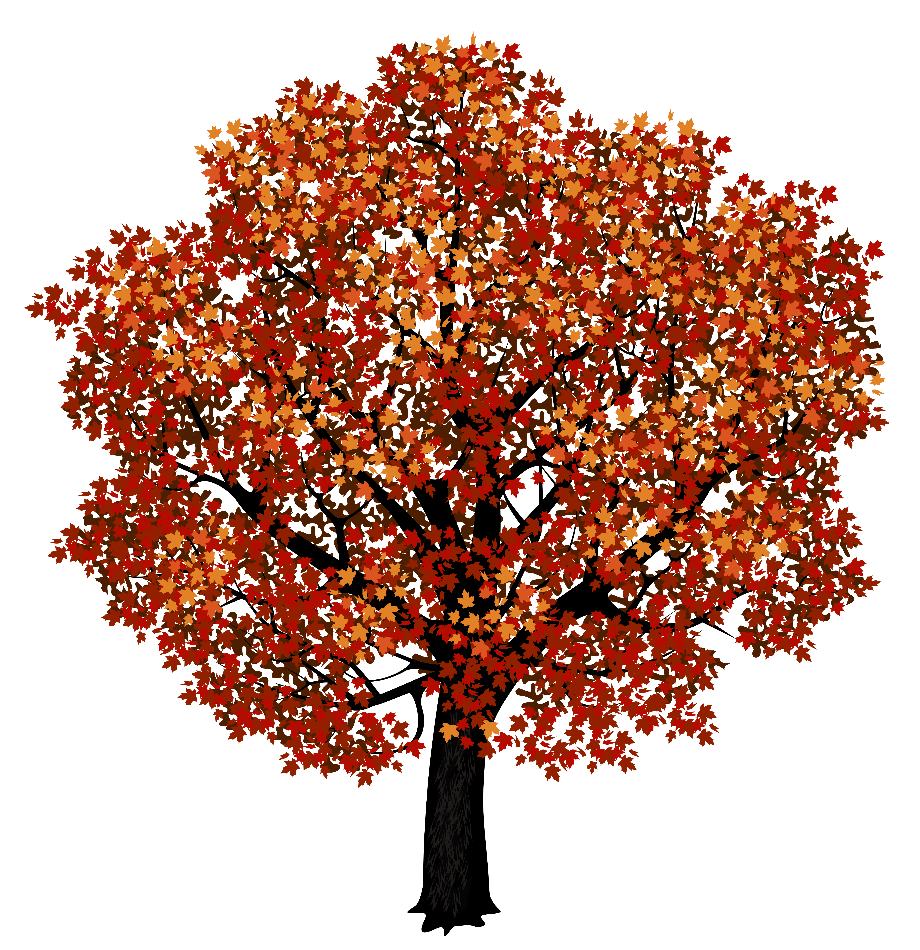 Download High Quality tree transparent background maple Transparent PNG