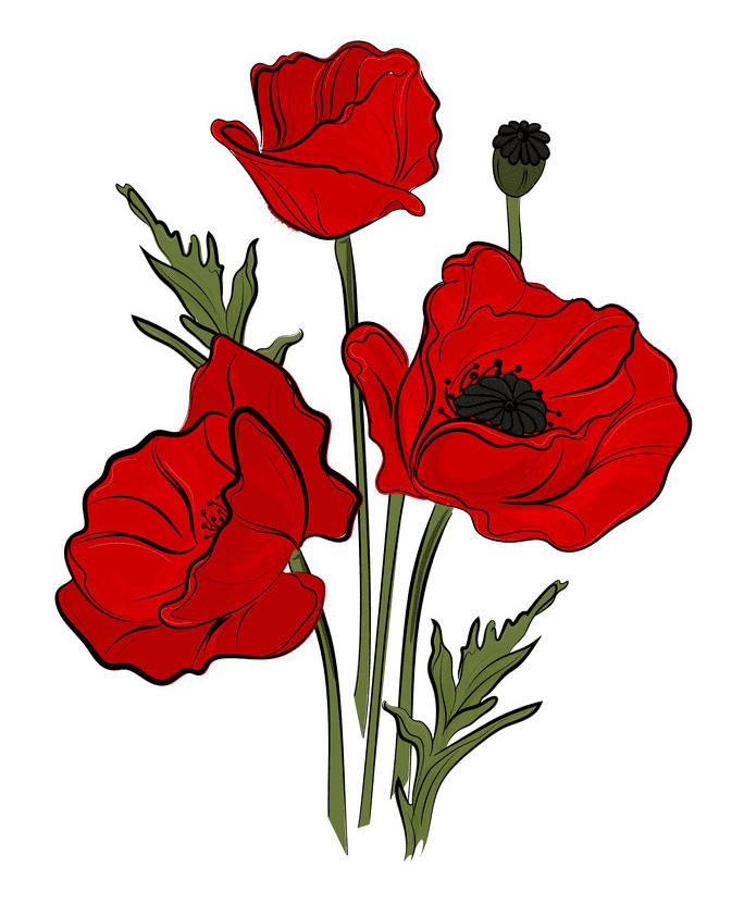 Poppies Clipart ClipartLib
