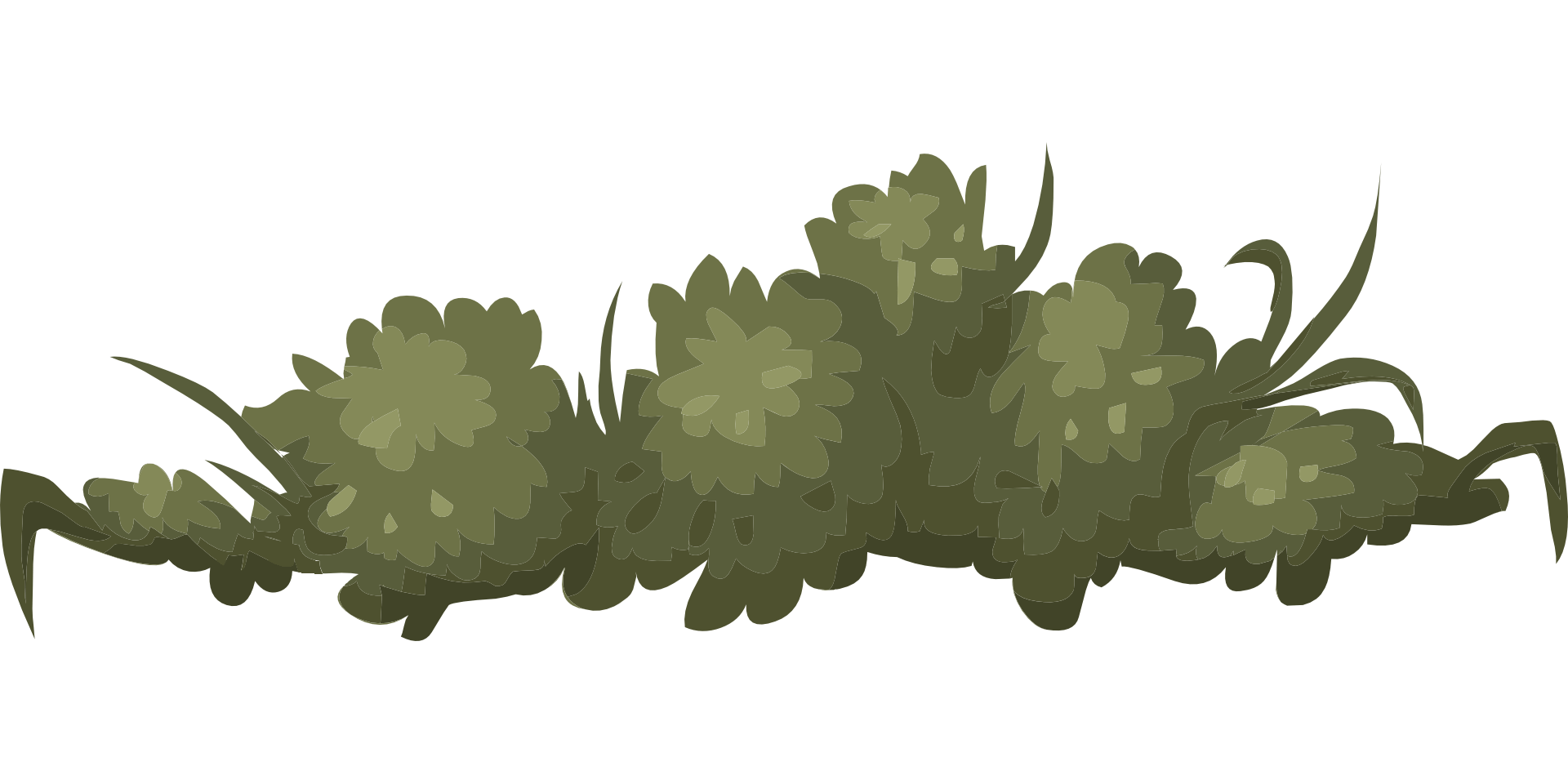 Bush Drawing Free download on ClipArtMag