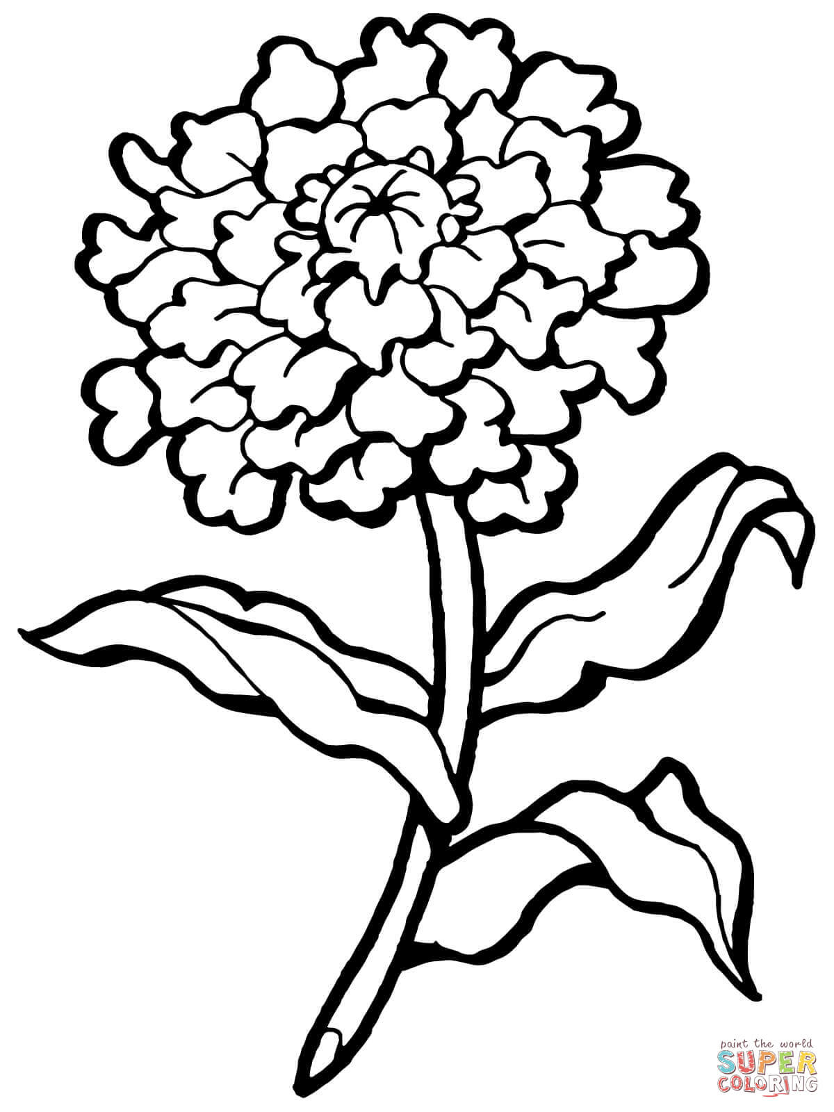 Carnation Line Drawing Free download on ClipArtMag