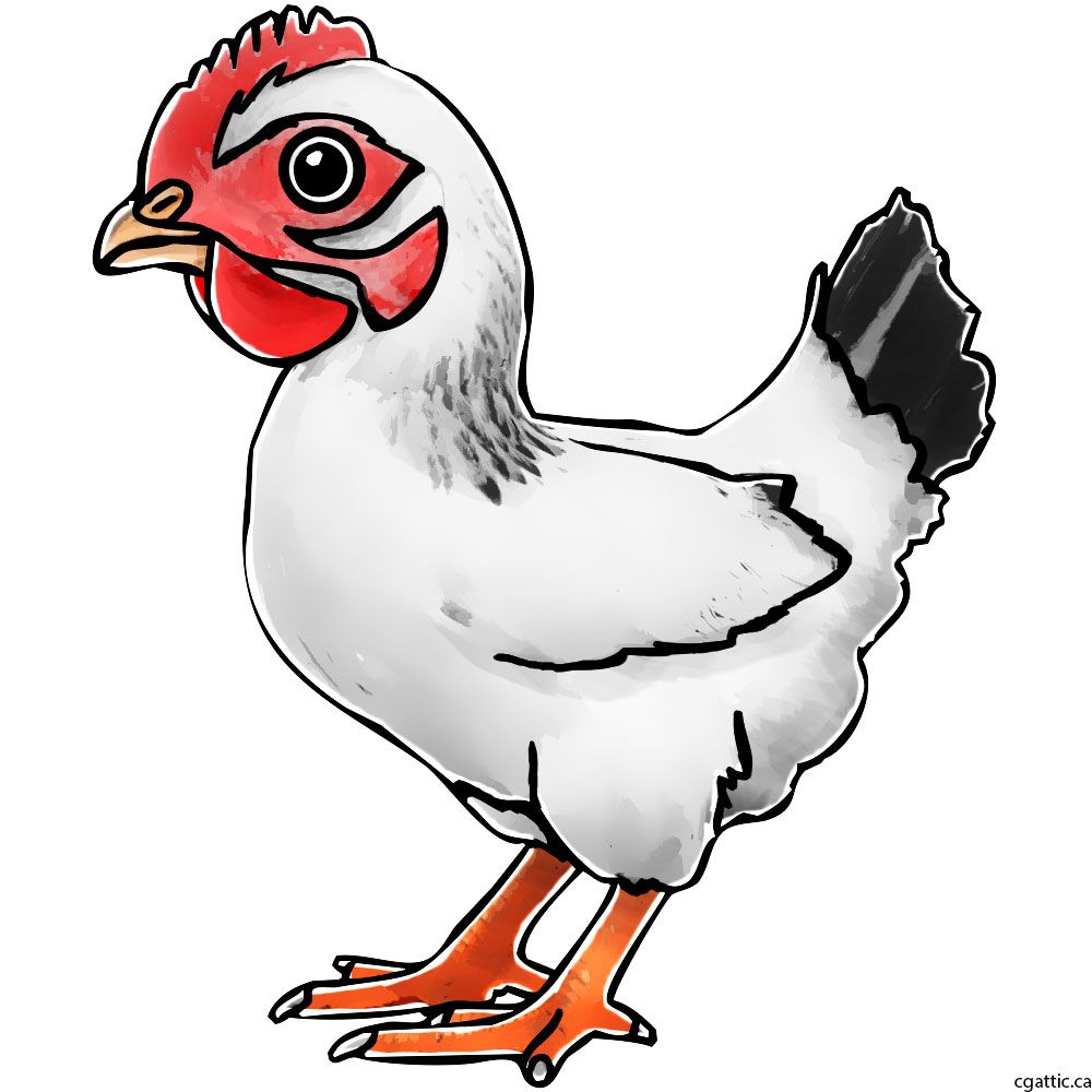 Chicken Head Drawing Free download on ClipArtMag