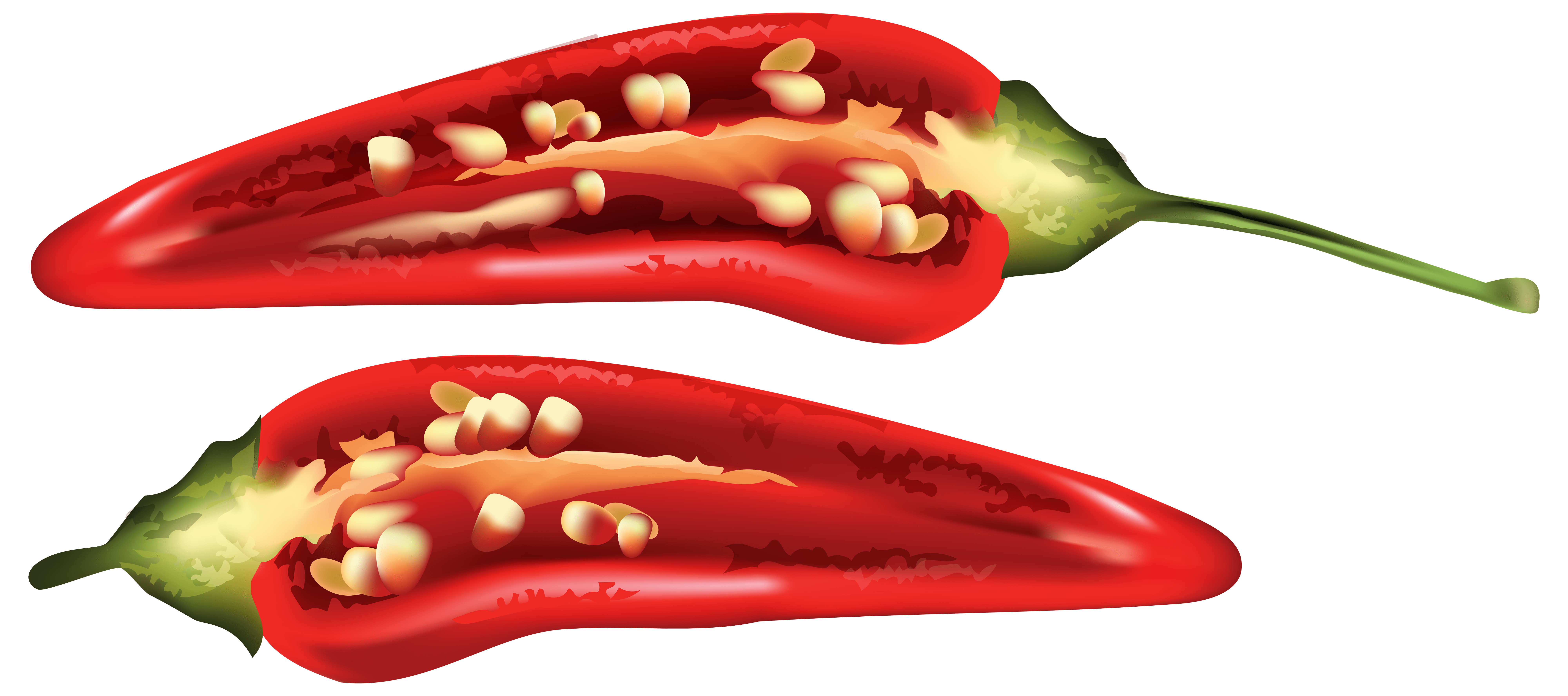 Chili Drawing Free download on ClipArtMag