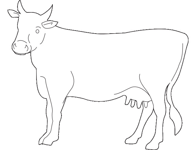 Pink Cow Designs Template Club Home Creations Milling