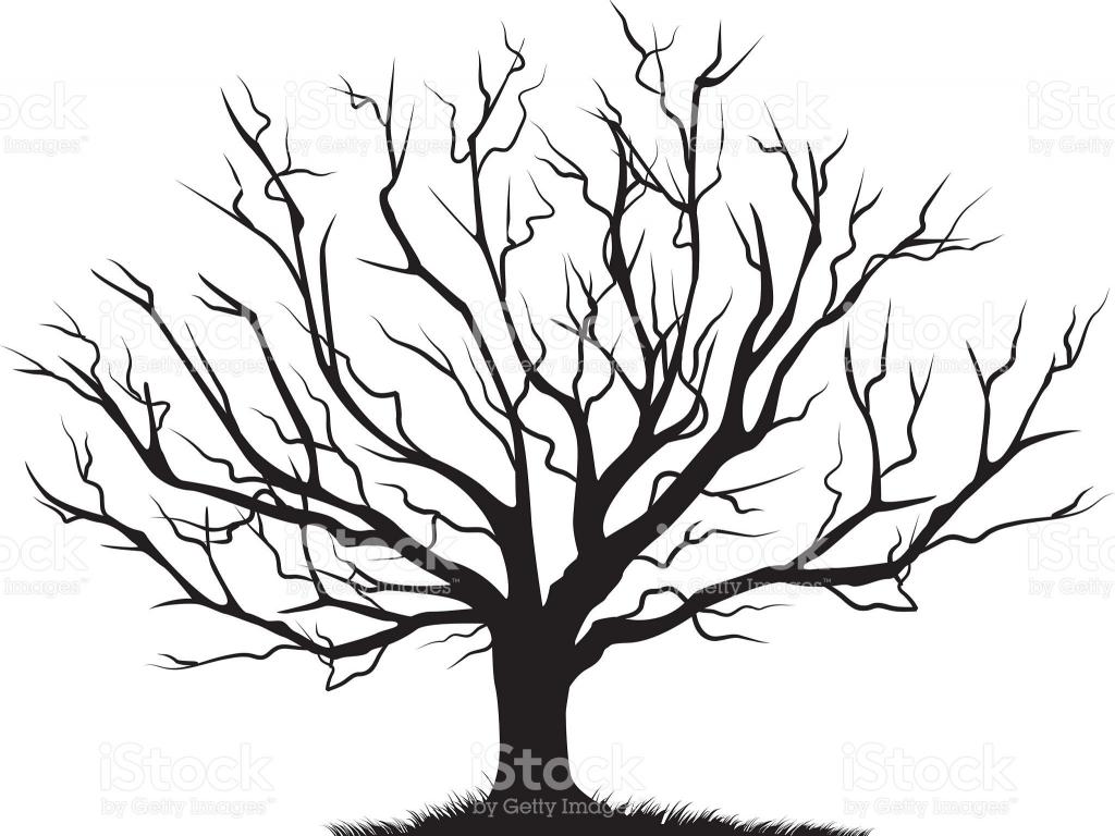 Dead Oak Tree Drawing Free download on ClipArtMag