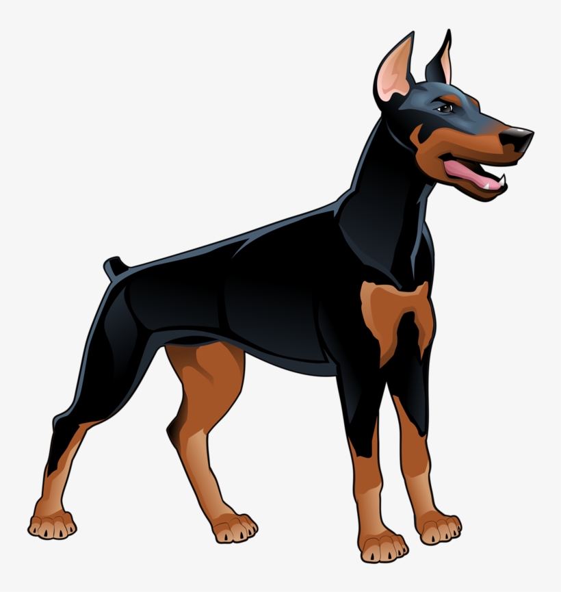 Doberman Drawing Free download on ClipArtMag