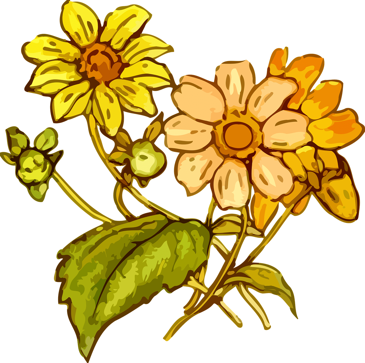 Dying Flower Drawing Free download on ClipArtMag
