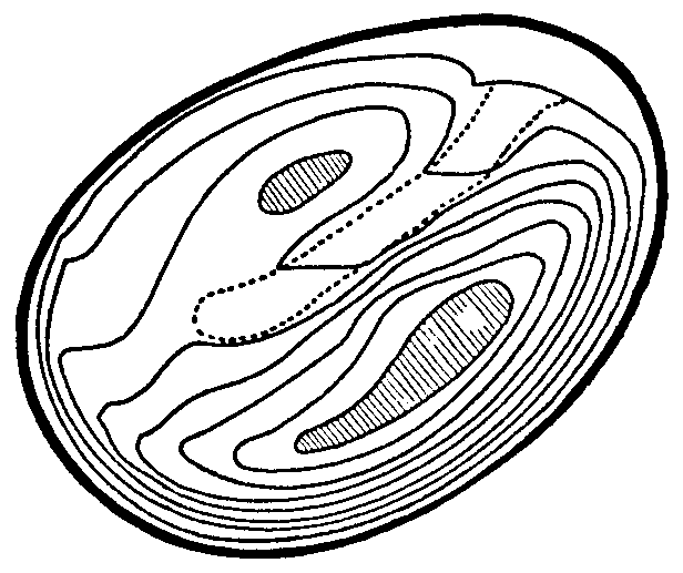 Eardrum Drawing Free download on ClipArtMag