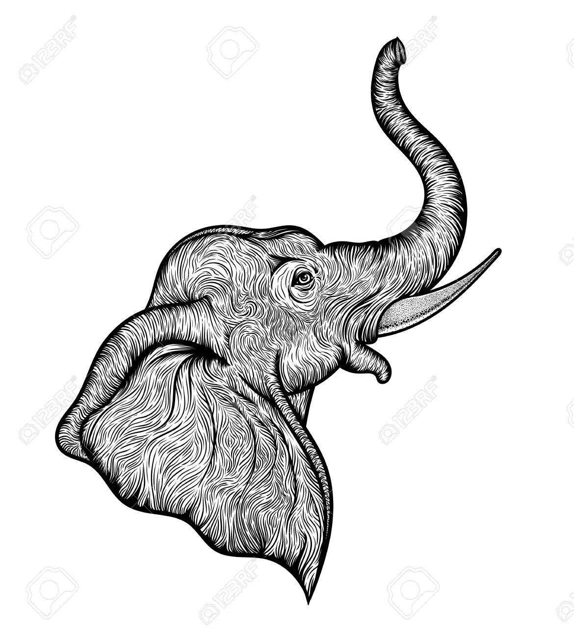 Elephant Profile Drawing Free download on ClipArtMag