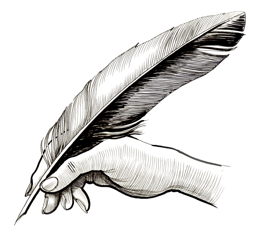 Feather Drawing Images Free download on ClipArtMag