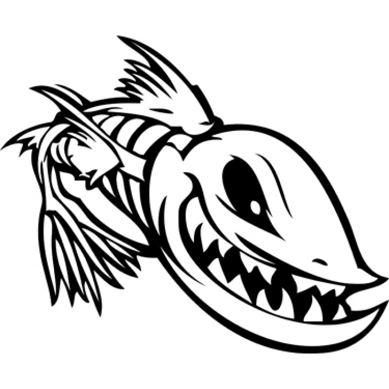 Flathead Catfish Drawing Free download on ClipArtMag