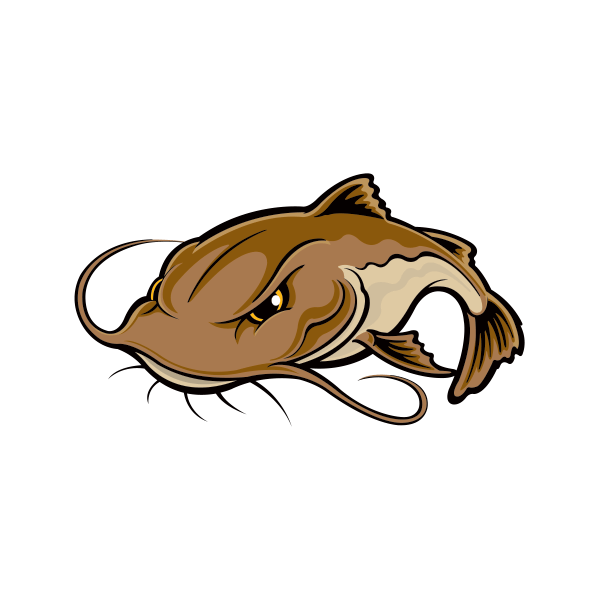 Flathead Catfish Drawing Free download on ClipArtMag
