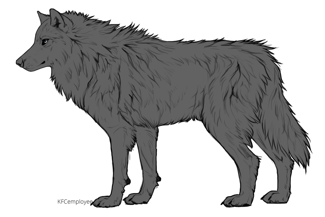 Growling Wolf Drawing Free download on ClipArtMag