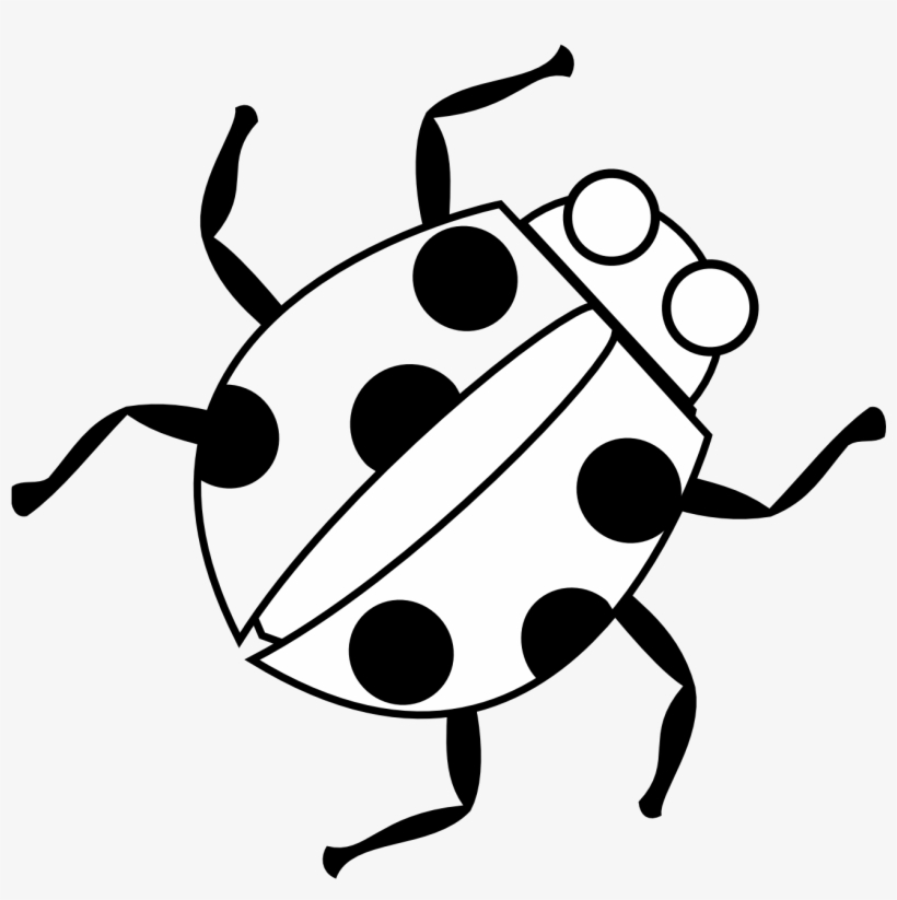 Insect Line Drawing Free download on ClipArtMag