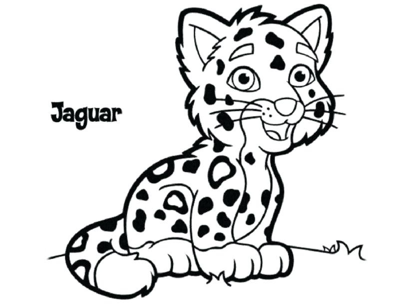 Jaguar Drawing Free download on ClipArtMag