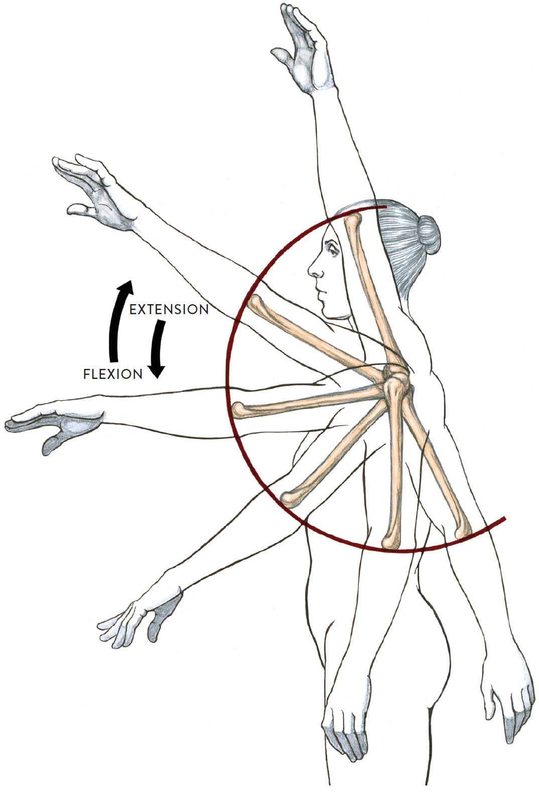 Joint Drawing Free download on ClipArtMag