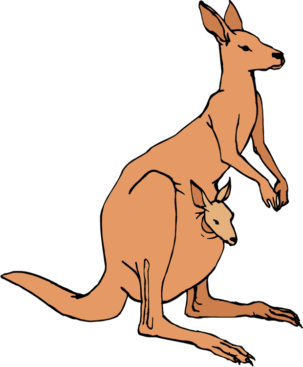 Kangaroo Drawing Free download on ClipArtMag