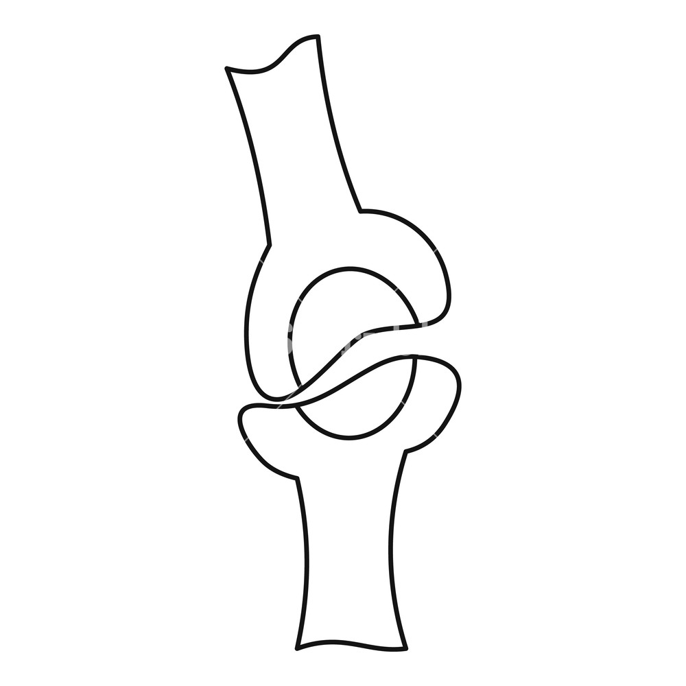 Knee Drawing Free download on ClipArtMag