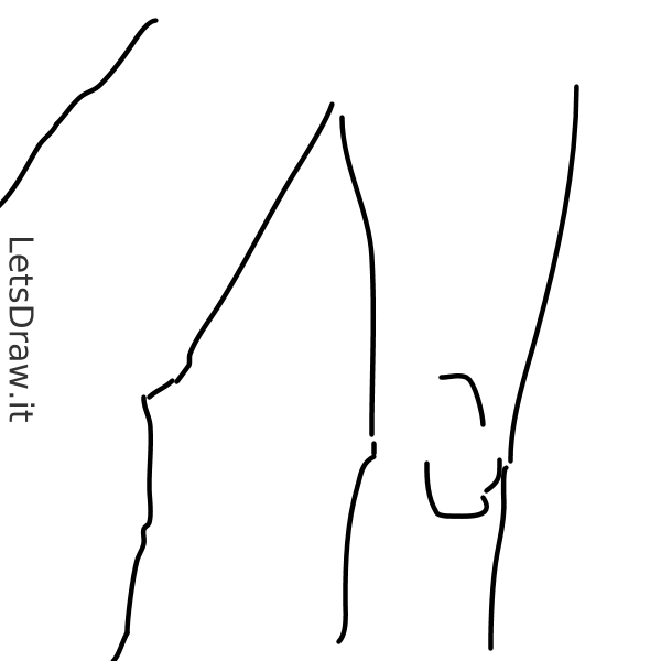 Knee Drawing Free download on ClipArtMag