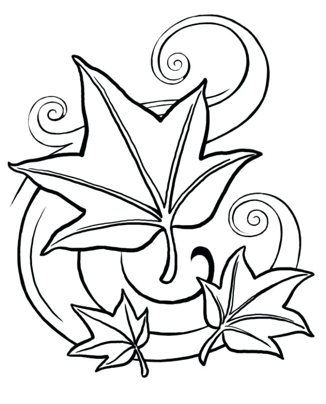Leaf Line Drawing Free download on ClipArtMag