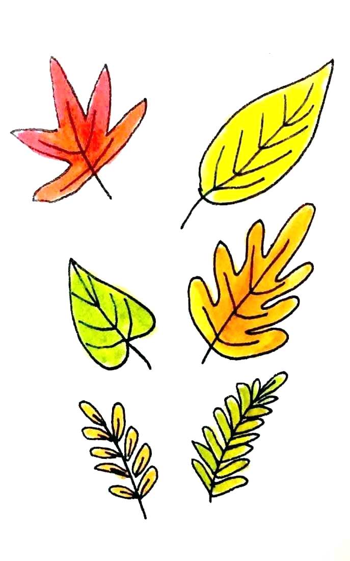 Leaf Line Drawing Free download on ClipArtMag