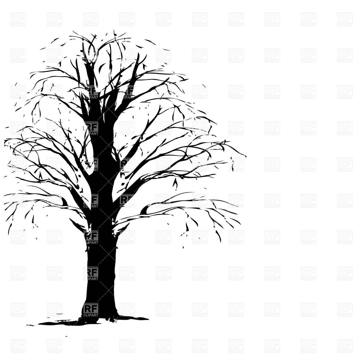 Leafless Tree Drawing Free download on ClipArtMag