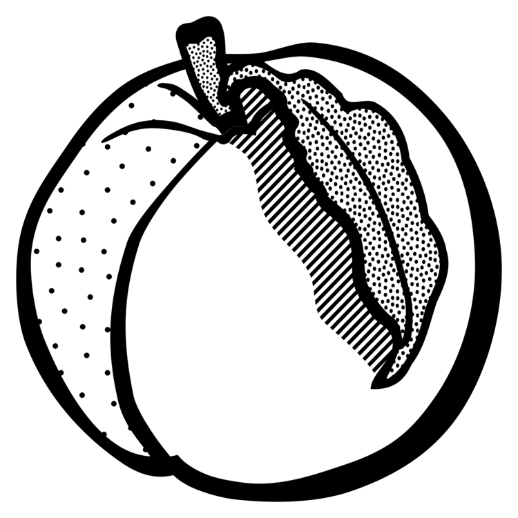 Peach Drawing Free download on ClipArtMag