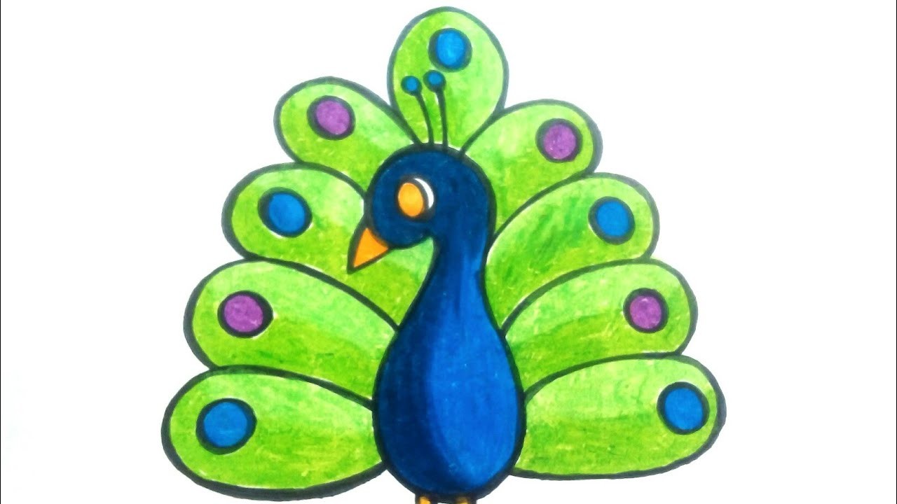 Peacock Drawing Easy Free download on ClipArtMag
