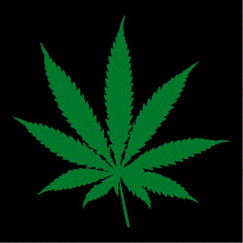 Pot Leaf Drawing Step By Step Free download on ClipArtMag