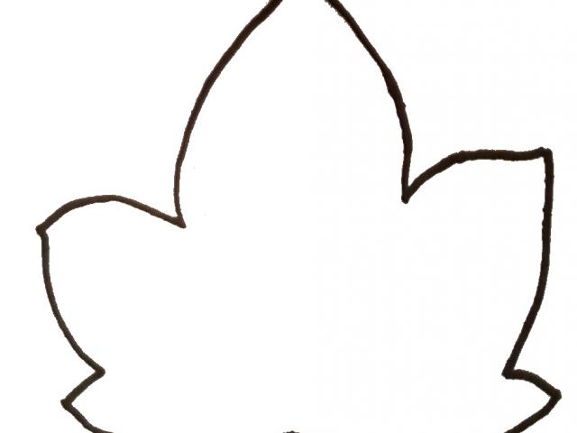 Free Leaf Templates Printable Leaf Outlines for Kids Crafts