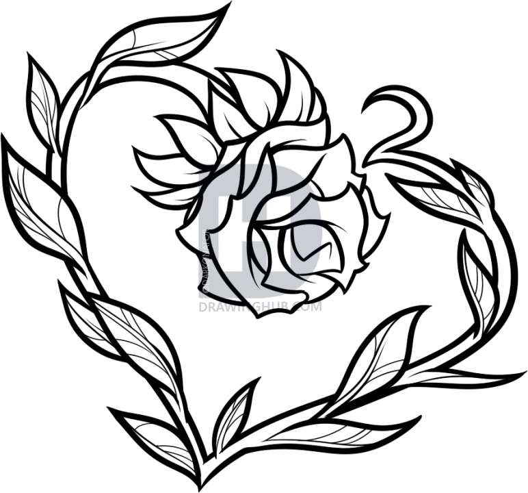 Ivy Leaf Drawing Free download on ClipArtMag