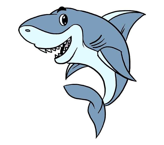 Shark Drawing Free download on ClipArtMag