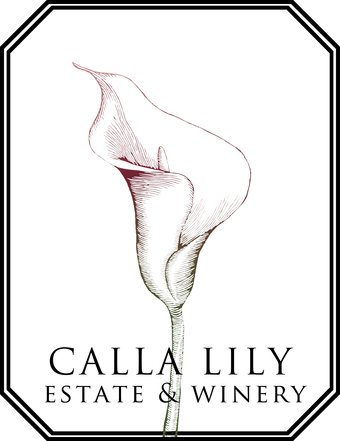 Simple Calla Lily Drawing Free download on ClipArtMag