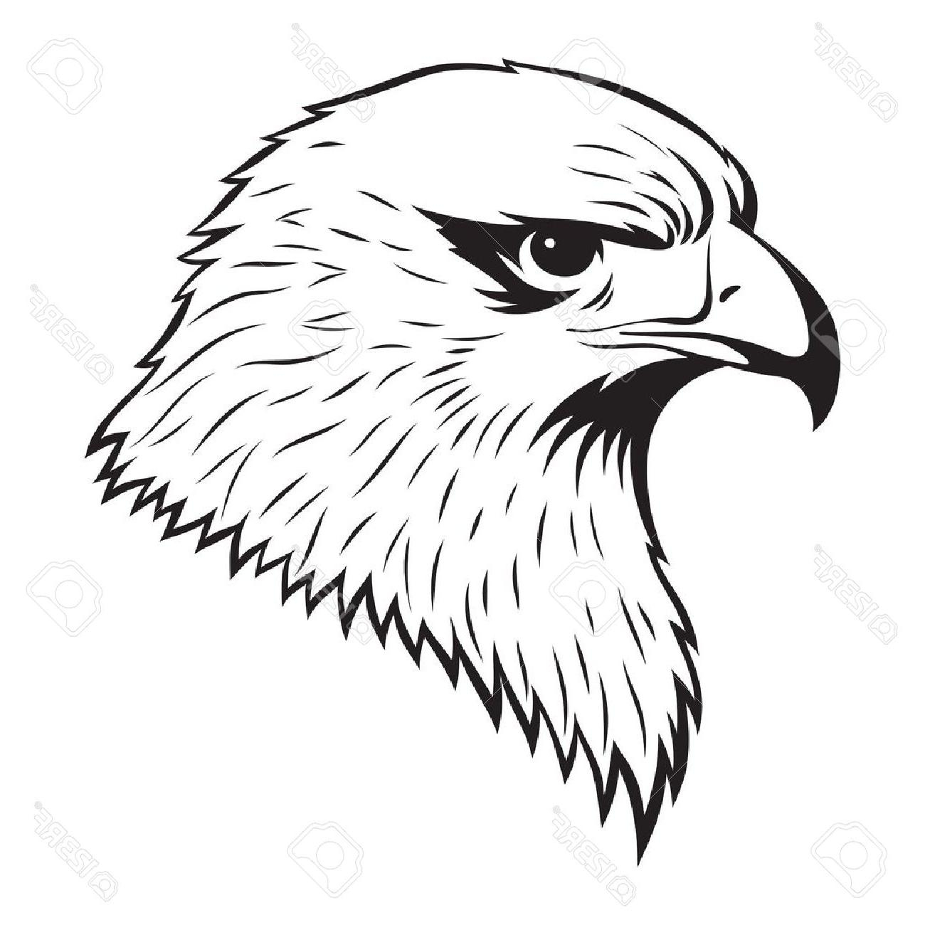 Simple Eagle Drawing Free download on ClipArtMag