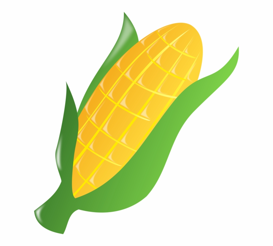 Sweet Corn Drawing Free download on ClipArtMag