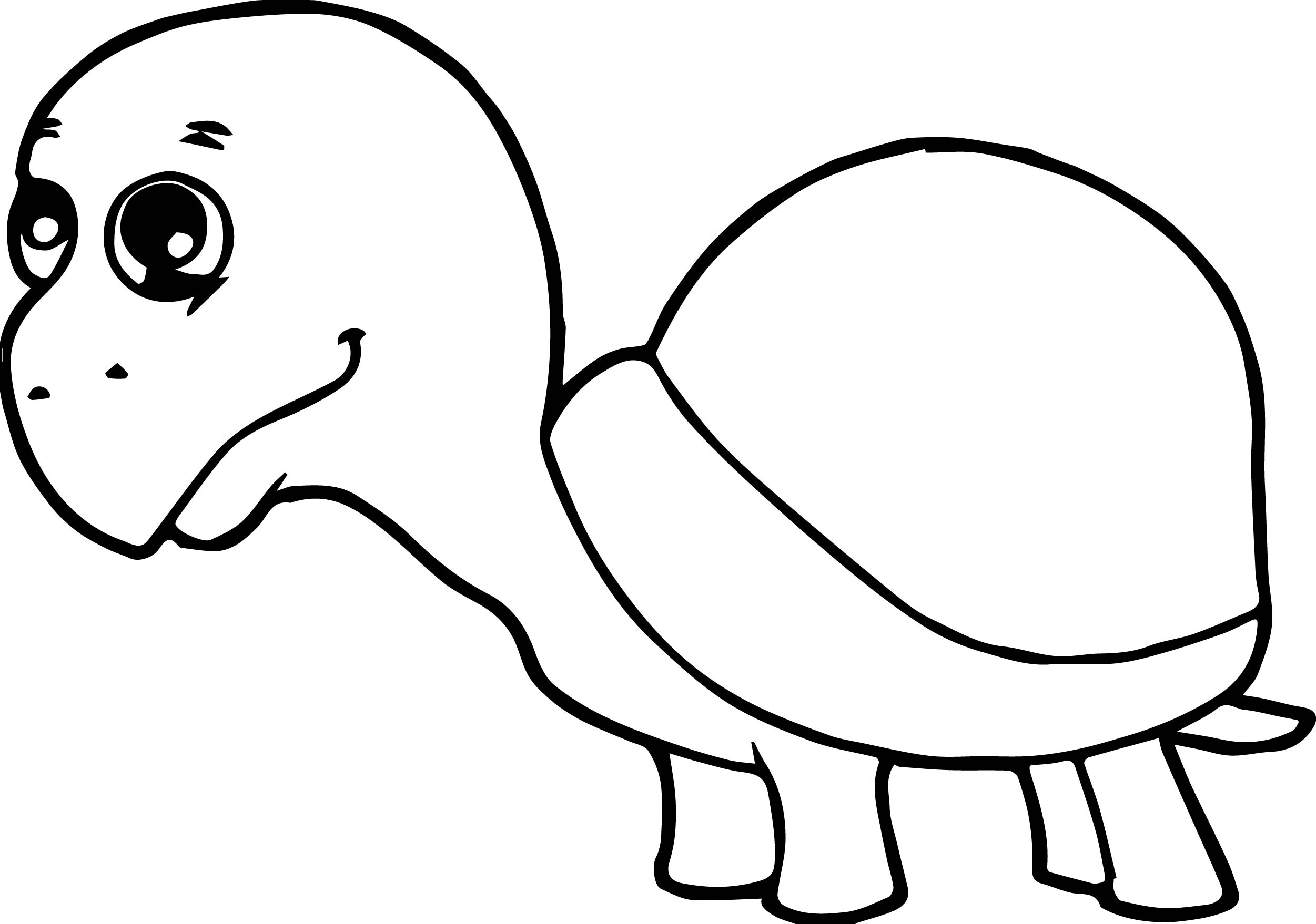 Turtle Head Drawing Free download on ClipArtMag