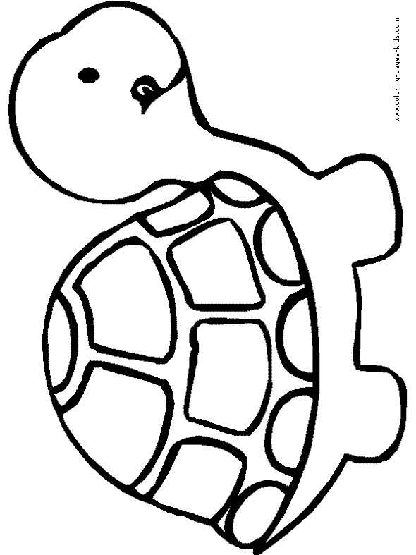 Turtle Outline Drawing Free download on ClipArtMag
