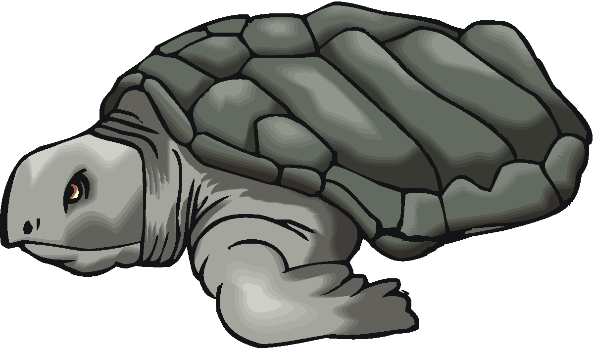 Cartoon Snapping Turtle Free download on ClipArtMag